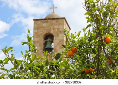 Monastery Of St. Barnabas In Cyprus