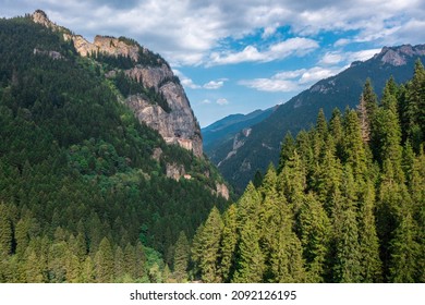 Sümela Monastery In Altındere Valley And The Forests That Fascinate With Their Colors.