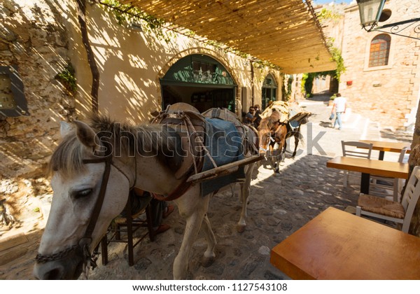 MONEMVASIA, GREECE - OCTOBER 05,\
2015: Working horses in a medieval town without cars\
Monemvasia