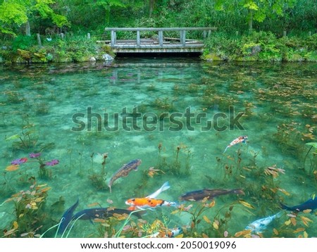 Monet's Pond , Nameless Pond