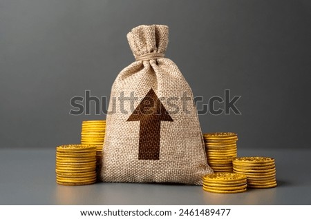 Money bag with up arrow. Rise of profits. Increase in the deposit rate. Inflation acceleration. Investments. Increase income and business efficiency. Economic growth, GDP.