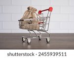 Money bag with dollar symbol inside shopping cart. Impulsive buying, wastrel, big spender and overspend concept.