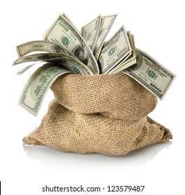 Money in the bag isolated white background