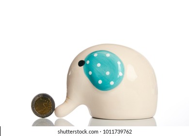 Money Box Elephant With Coin