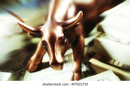 Money ( Bull Market ) Stock Photo High Quality 