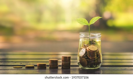 money for business investment finance and banking concept. green plant leaves growth up on row of saving coin stack on wood table with green blur nature background.