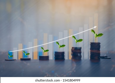 Money coin stack growing graph with bokeh light background,investment concept. plant growing on coin, business finance and save money concept.