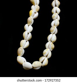 Money Cowry Sea Shell Necklace On Black Background