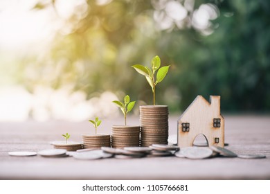 Money dollar coin stack growing graph with green bokeh background,investment concept.tree growing on coin,Business Finance and Save Money concept - Shutterstock ID 1105766681