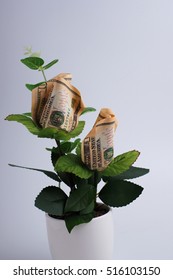 Money Dollar Flower, Financial Business Concept.