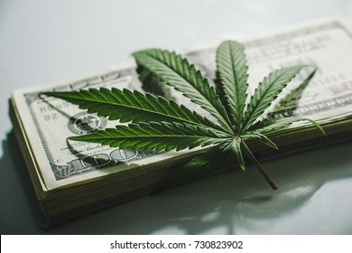 Money And Drugs, Cannabis And Dollars, Cannabis Leaf
