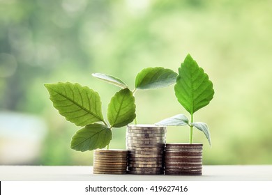 money exchange and money tree and financial