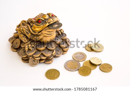 Money frog feng shui symbol of prosperity and euro coins isolated on white background