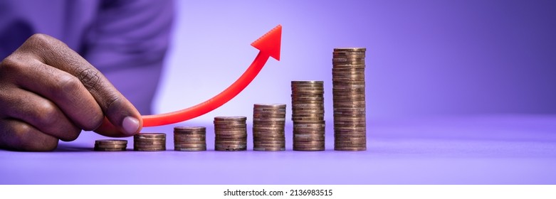 Money Graph Or Salary Chart. Financial Investment