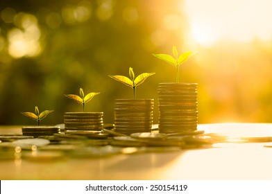 Money-Wachstumskonzept, Business-Success-Konzept, Bäume, die auf dem Haufen von Münzen Geld auf Sonnenflare Silhouette-Stil wachsen
