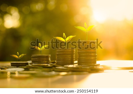Money growing concept,Business success concept,Trees growing on pile of coins money over sun flare silhouette style