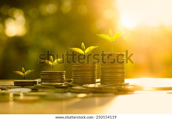 Money growing\
concept,Business success concept,Trees growing on pile of coins\
money over sun flare silhouette\
style