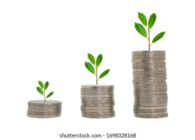 Money growing plant step with deposit coin in bank concept, clipping path. - Shutterstock ID 1698328168
