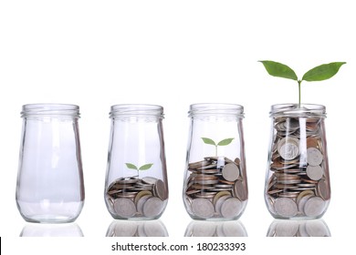 Money growing plant step with deposit coin  in bank concept - Shutterstock ID 180233393