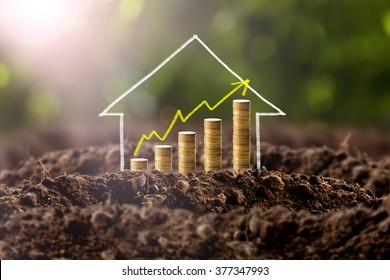 Money growing in soil with house , success concept.