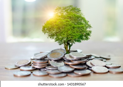 Money Growth Saving Money. Upper Tree Coins To Shown Concept Of Growing Business