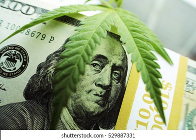 Money With Marijuana Close Stock Photo High Quality 