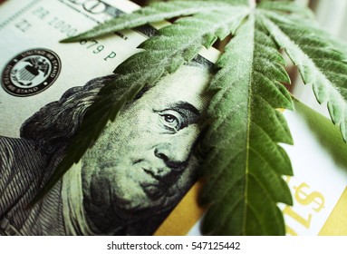 Money With Marijuana Leaf Close Up High Quality 