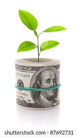 Money And Plant Isolated On White