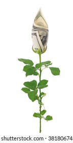 Money Rose.Concept Image