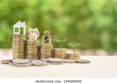 Money Saving, First Time Asset / Property Buyer Concept : Home Model, Piggy Bank, Dollar Bags, Young Sprout On Stacks Of Rising Coins, Depict Budget Planning For Basic Needs, Family & Personal Expense