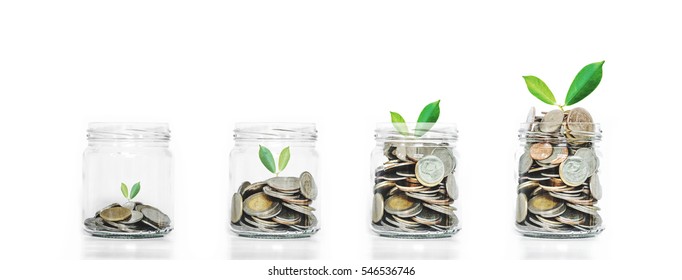 Money Saving Growth Concepts, Glass Jar With Coins And Plants Growing, Isolated On White Background