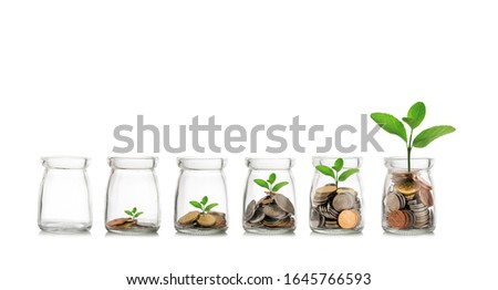 Money saving growth concepts. Glass jar with coins and plants growing on white background.