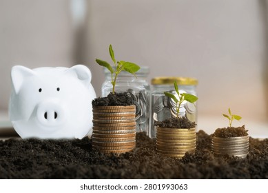 money stack step up growing growth saving money, Concept financial business investment.