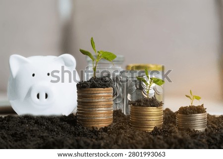 money stack step up growing growth saving money, Concept financial business investment.