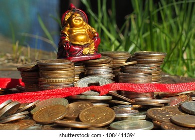 money toad on coins