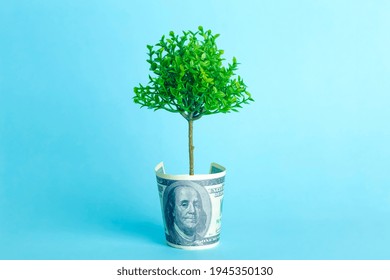 Money Tree On A Blue Background. Growing Tree From The Dollar. American Rescue Plan, USA Relief Program, Stimulus Check, Act Of 2021 Concept. Money, Business, Profit And Livelihood Idea