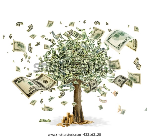 money tree on white\
background
