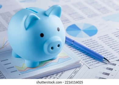 Moneybox For Money On The Background Of Documents And Financial Charts. Investment And Capital Accumulation Concept