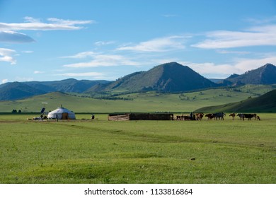mongol yurt in khentii province in Mongolia