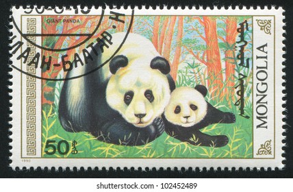 MONGOLIA - CIRCA 1990: Stamp Printed By Mongolia, Shows A Giant Panda And A Bear Cub, Circa 1990