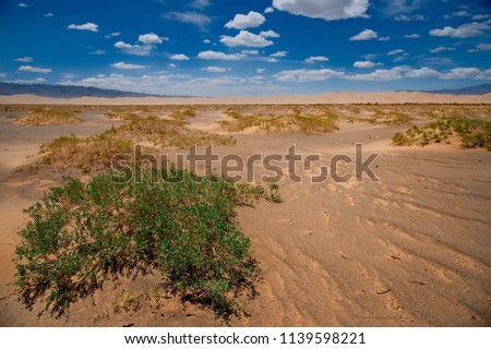 Mongolia. The famous sand dunes of Hongoryn-Els are located in the North-East of the Gobi desert. Length of 120 km with a width of 3-5 km dunes reach a height of 300 m.