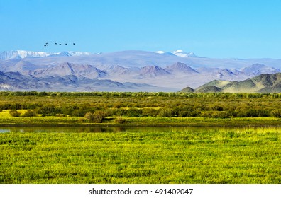 Mongolian Landscape