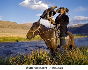 Mongolian Man On A Horse With An Eagle