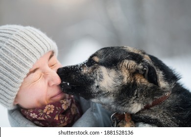 Mongrel Dog Licking Woman Face In Winter Forest. Close Up