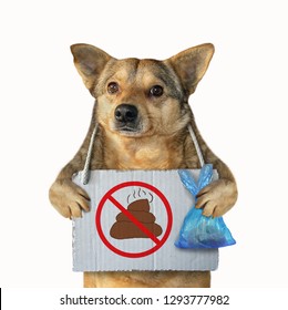 The mongrel dog with a plastic bag and a poster no dog pooping hanging around its neck. Isolated. White background.