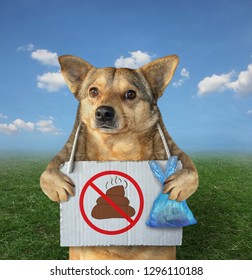 700 Small dog pooping Images, Stock Photos & Vectors | Shutterstock