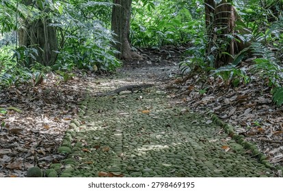 Monitor lizard crossing mossy path in tropical forest. Wild reptile on shaded jungle trail amid dense foliage. Rainforest walkway with animal habitat adventure scene