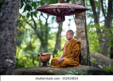 Monk Buddhism Meditation Forest Stock Photo 552414814 | Shutterstock