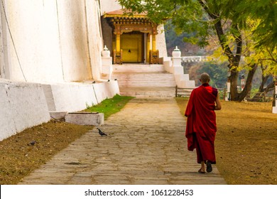 Monk At Punakha Dzong