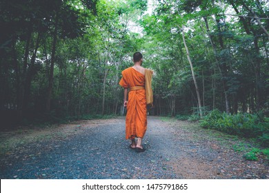 Monk Walking Alone On Bright Tunel Tree.